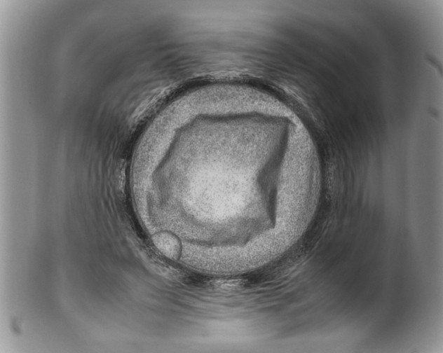 X0000099530495200806131130