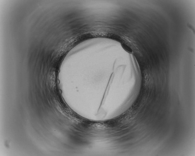 X0000099530498200806131130