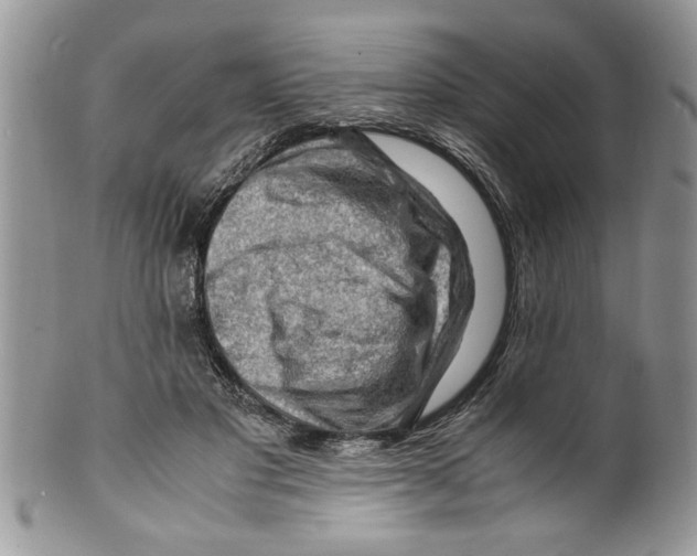 X0000099530501200806131130