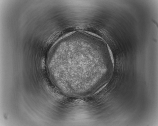 X0000099530502200806131130