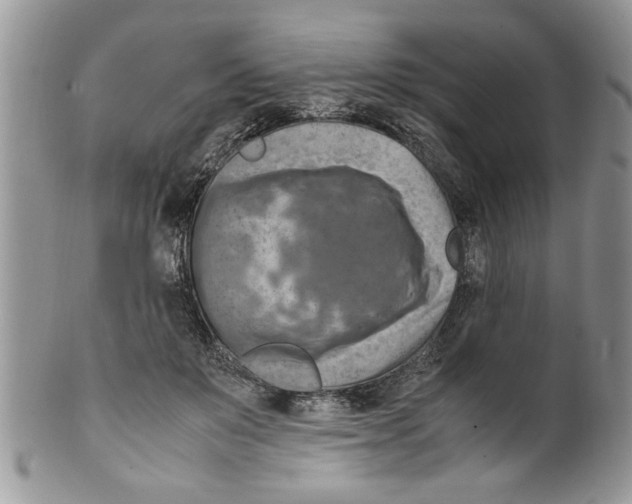 X0000099530503200806131130