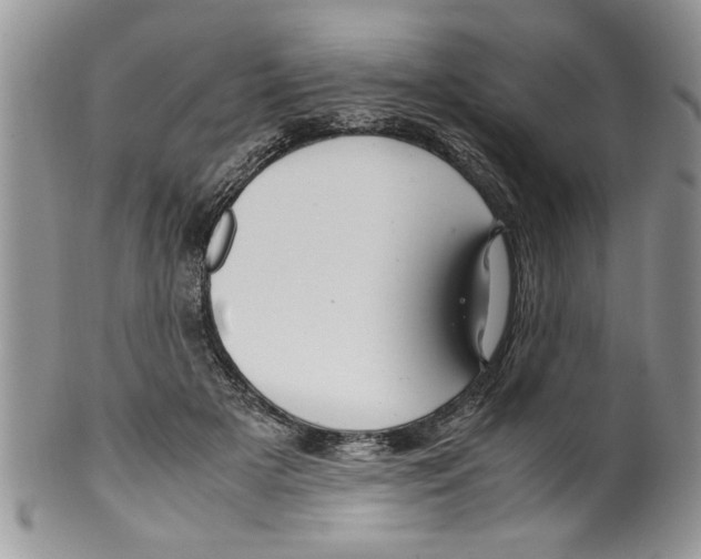 X0000099530505200806131130