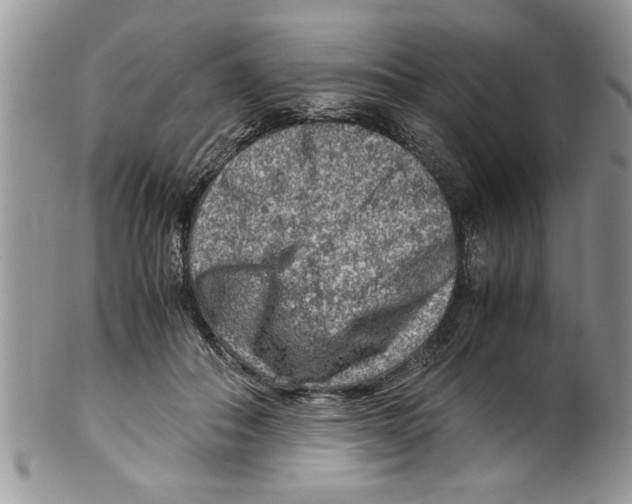 X0000099530506200806131130