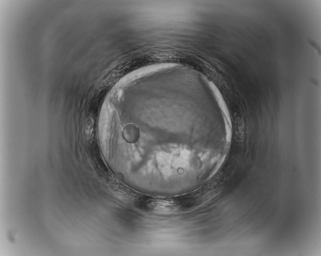 X0000099530507200806131130