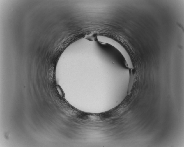 X0000099530509200806131130