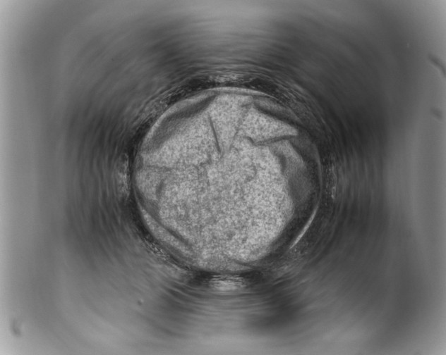 X0000099530510200806131130