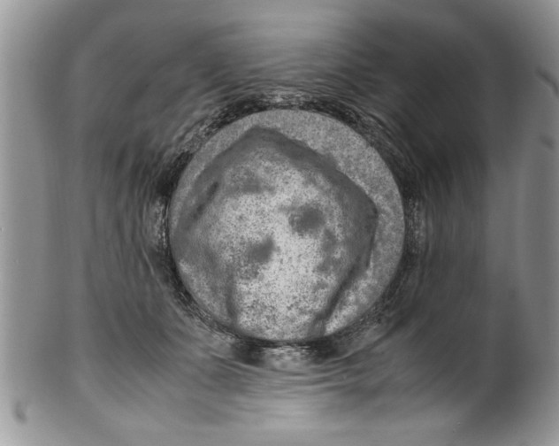 X0000099530511200806131130