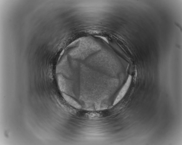 X0000099530512200806131130