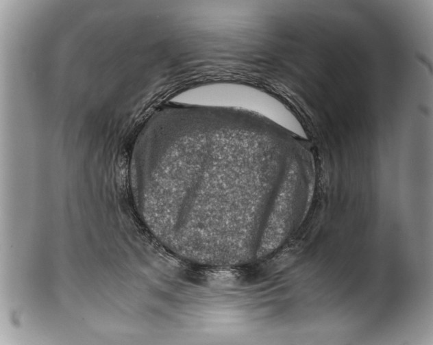 X0000099530513200806131130