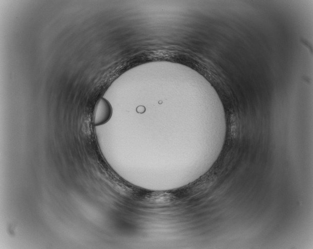 X0000099530514200806131130