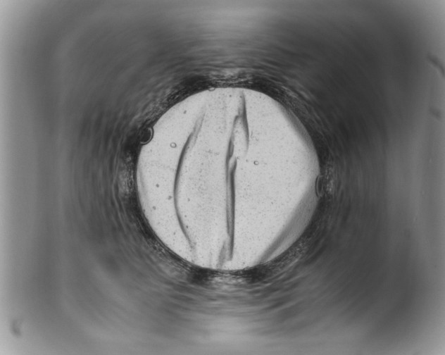 X0000099530515200806131130