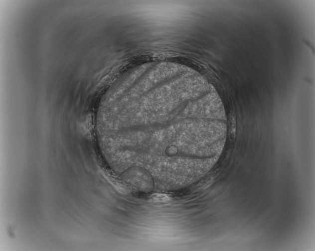 X0000099530519200806131130