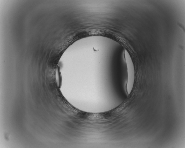 X0000099530521200806131130