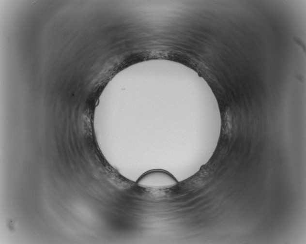 X0000099530522200806131130