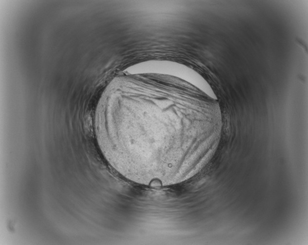 X0000099530523200806131130