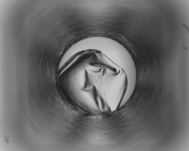 X0000099530524200806131130