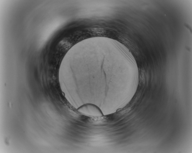 X0000099530526200806131130