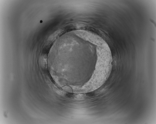 X0000099530527200806131130