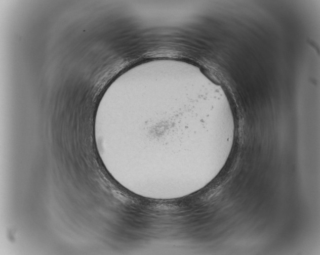 X0000099530529200806131129