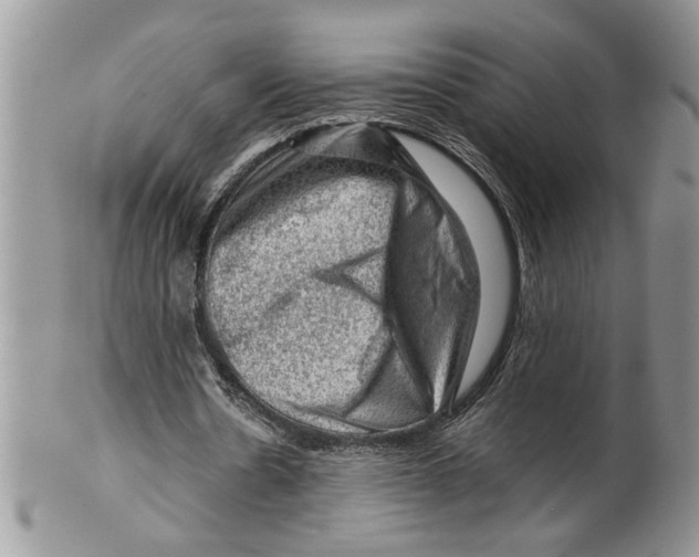 X0000099530530200806131129