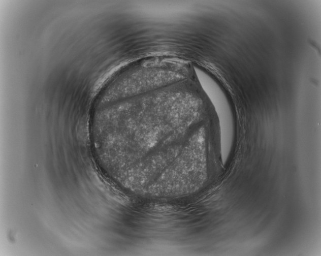 X0000099530531200806131129