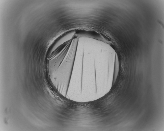 X0000099530532200806131129