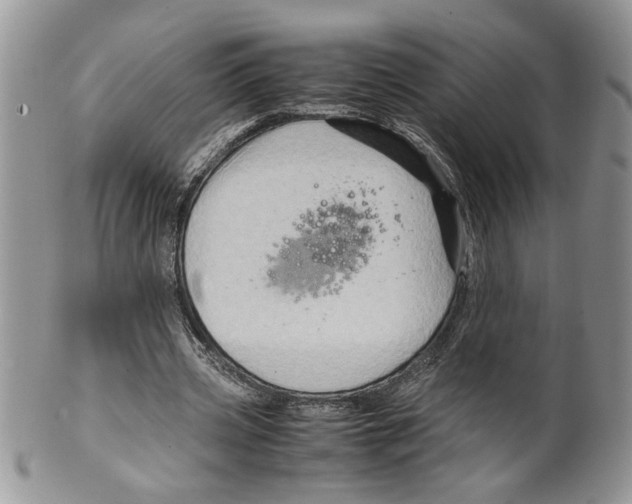 X0000099530533200806131129