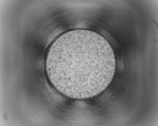 X0000099530534200806131129