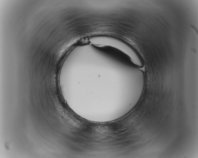 X0000099530535200806131129