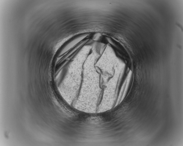 X0000099530536200806131129