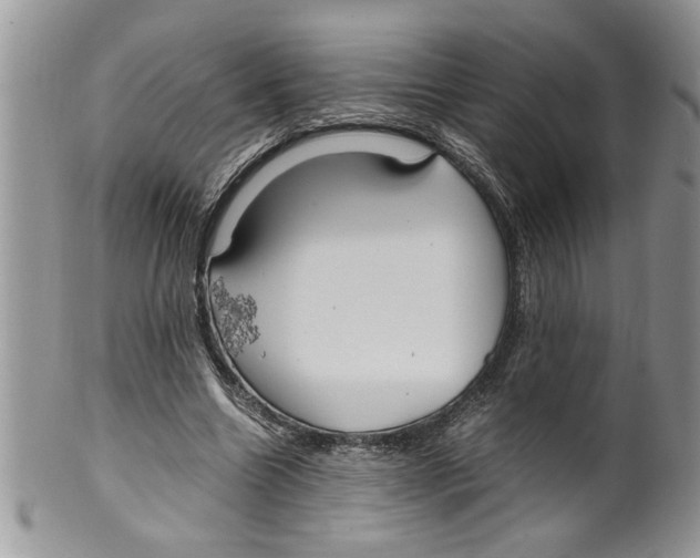 X0000099530538200806131129