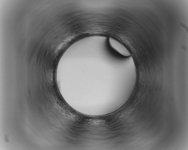 X0000099530539200806131129