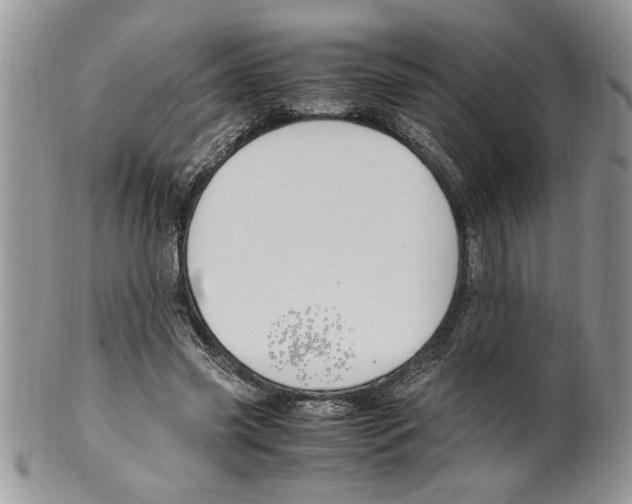 X0000099530541200806131129