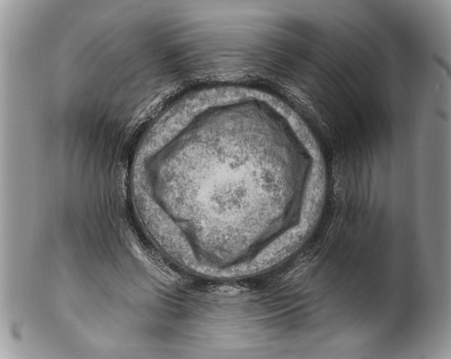 X0000099530542200806131129