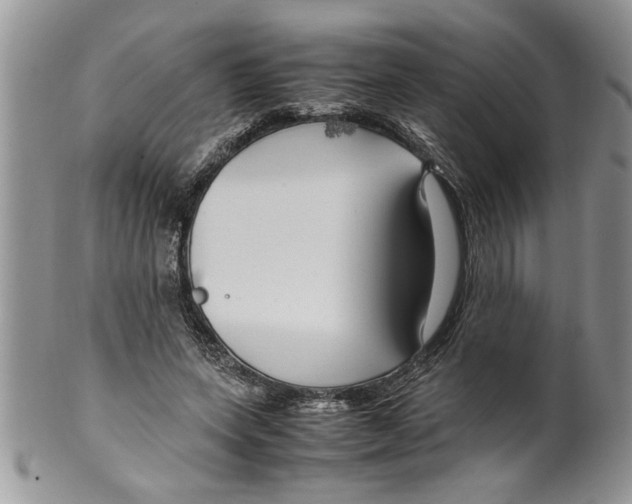 X0000099530543200806131129