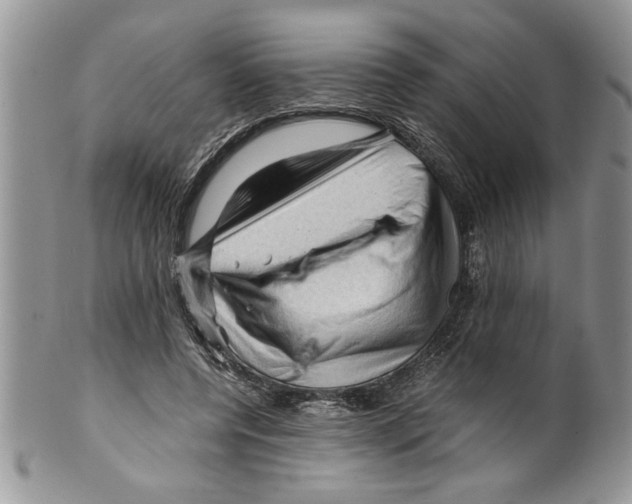 X0000099530544200806131129