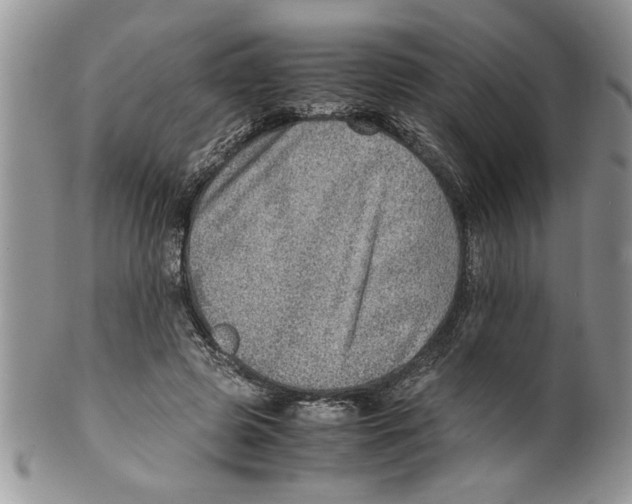 X0000099530545200806131129