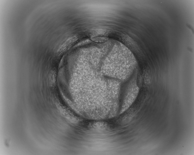 X0000099530546200806131129