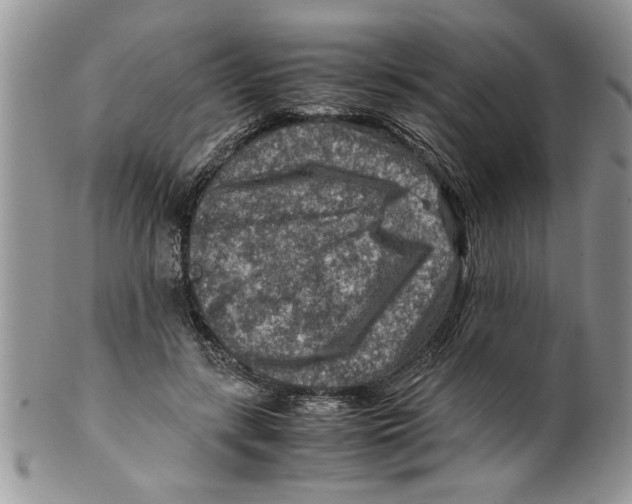 X0000099530547200806131129