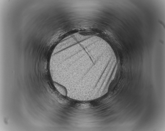 X0000099530548200806131129