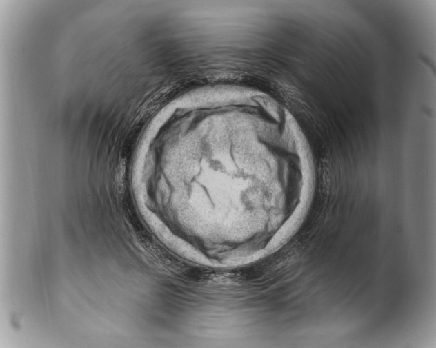 X0000099530550200806131129