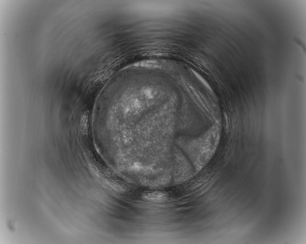 X0000099530551200806131129