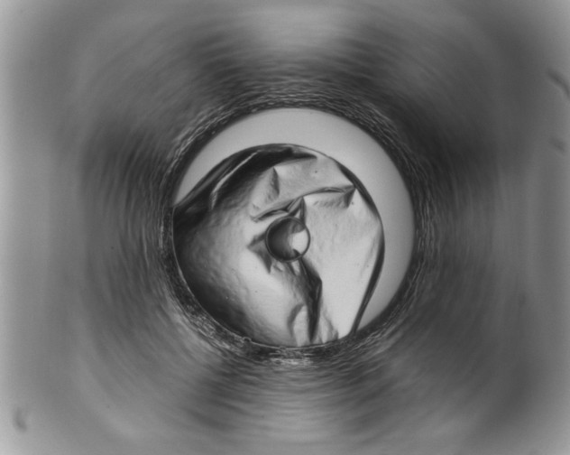 X0000099530552200806131129