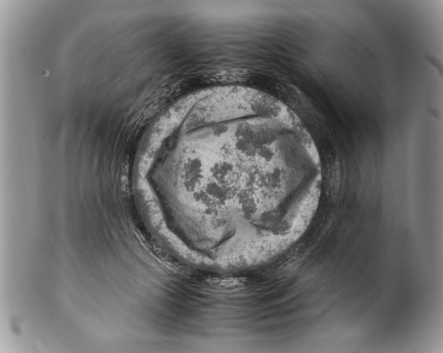 X0000099530553200806131129