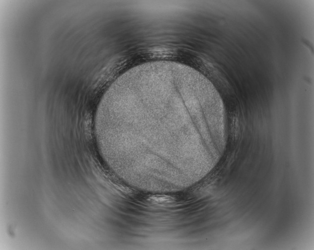 X0000099530557200806131130