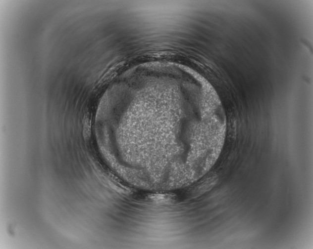 X0000099530558200806131130