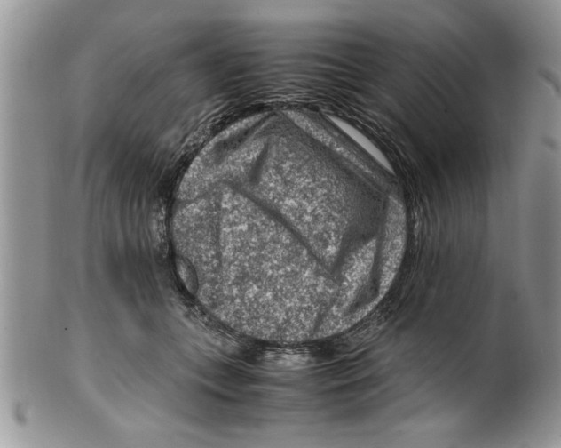 X0000099530559200806131130