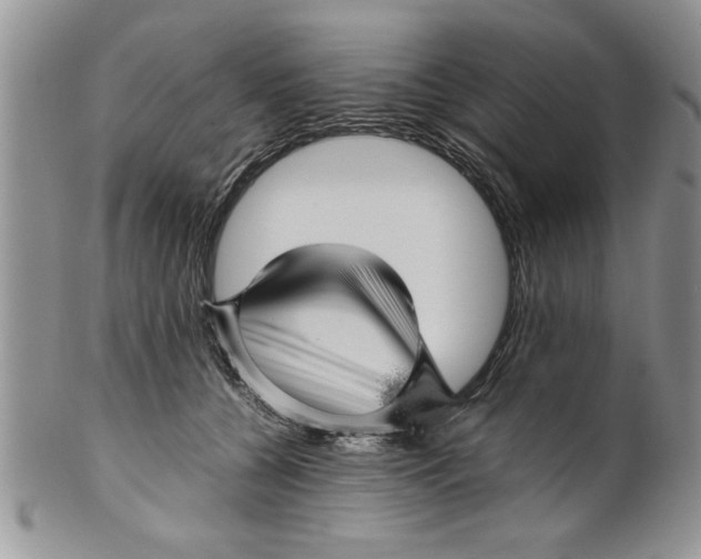 X0000099530560200806131130