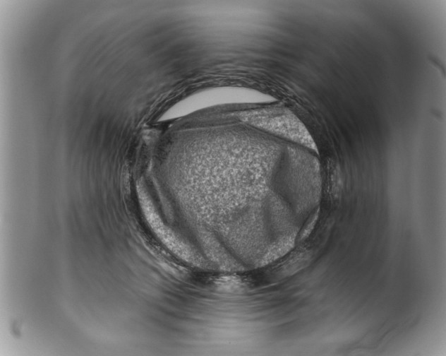 X0000099530562200806131130