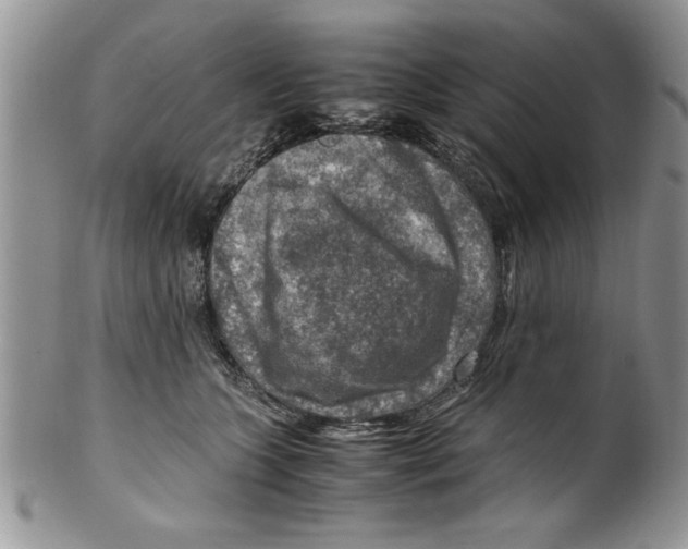 X0000099530563200806131130